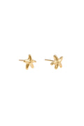 Búzios Starfish Studs